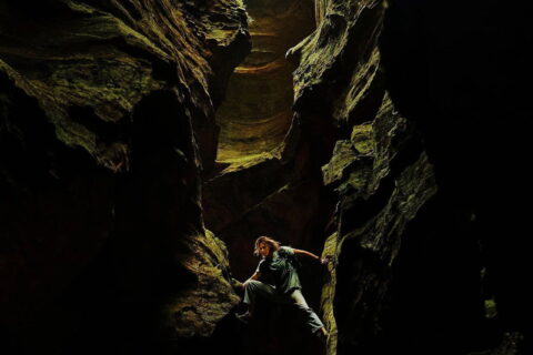 Apex film worth watching