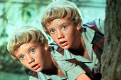 Hayley Mills Parent Trap lost earni