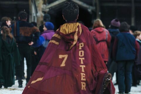 Netflix Harry Potter 2027