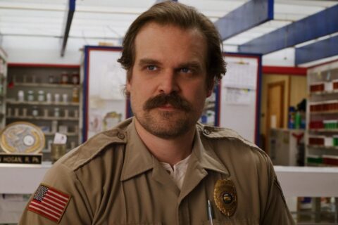 Stranger Things Hopper casting Davi