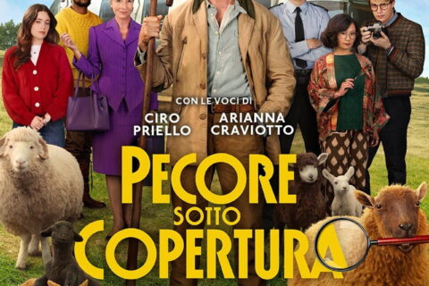 Pecore sotto copertura
