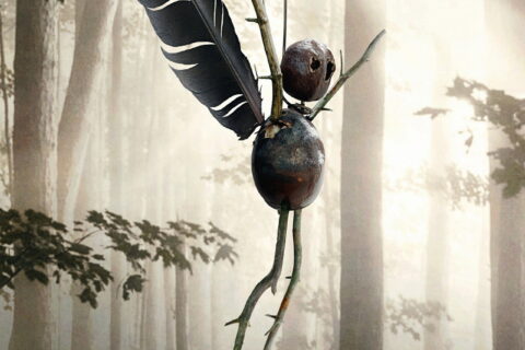 The Chestnut Man