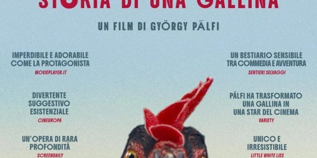 Hen - Storia di una Gallina