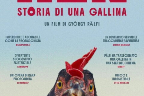 Hen - Storia di una Gallina