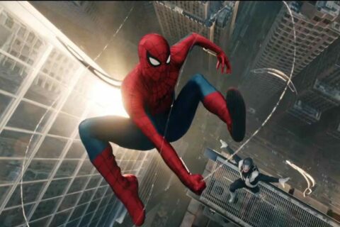 Spider