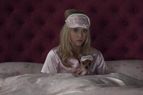 Jason Moore Elle Murder She Wrote d
