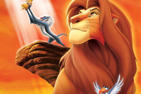 Il re leone