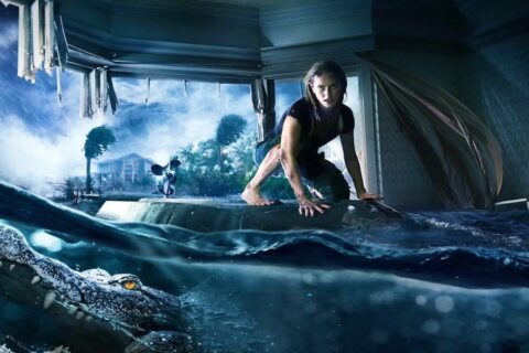 Crawl 2 data uscita